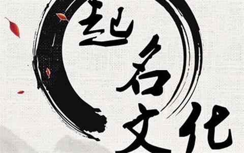 在国外，企业起名和品牌起名早已形成产业