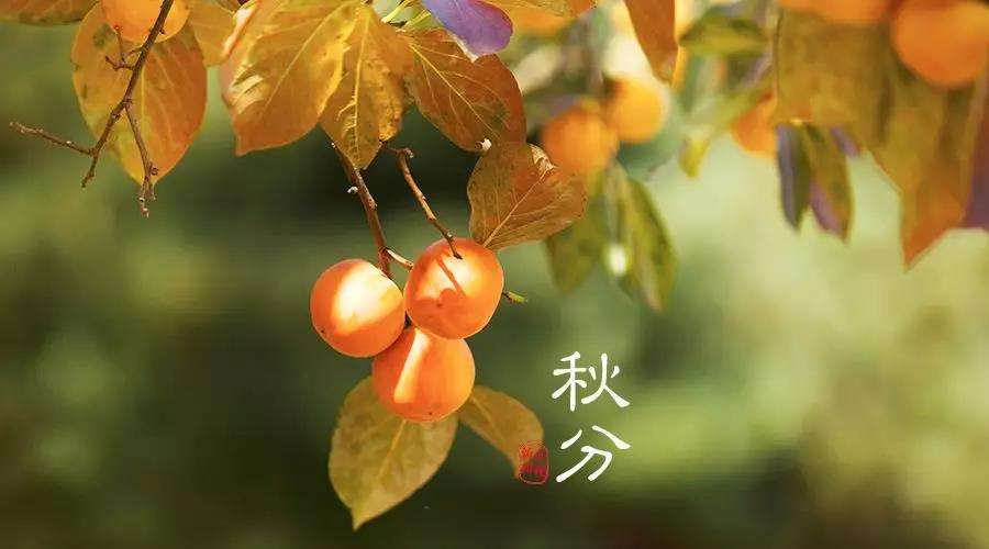 秋分已至，阴阳相半，昼夜均分，这份开运旺运指南请收好
