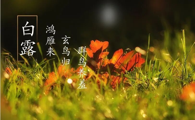 白露旺运指南：丁酉月火炼真金，这些事要注意
